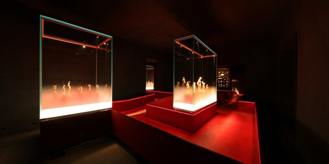 show boxes