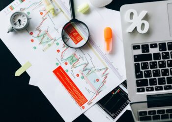 programme management