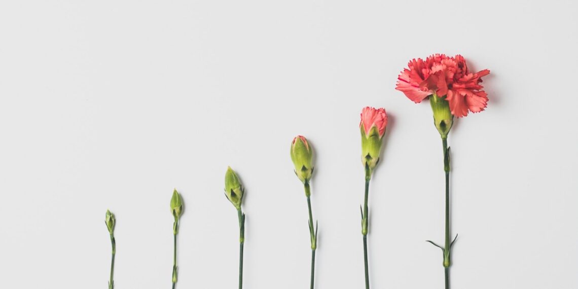 change models in project management