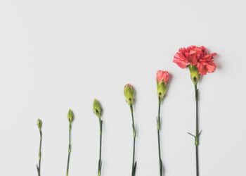 change models in project management